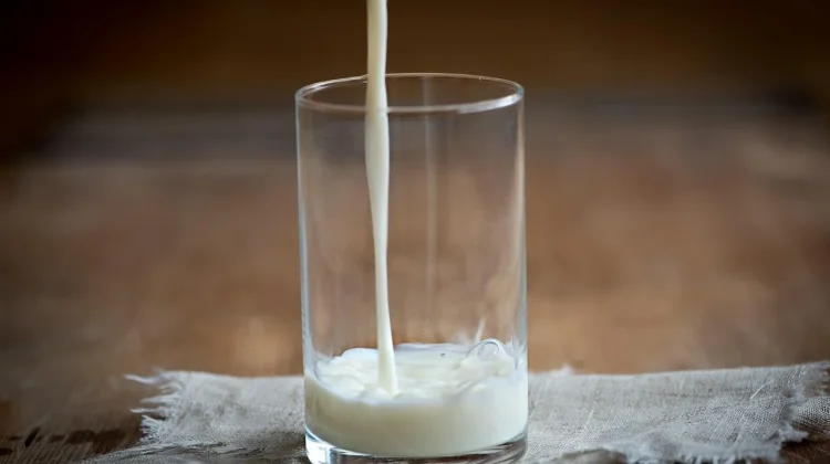 Hari Susu Nabati Sedunia, Dorong Minuman Sehat Berkelanjutan