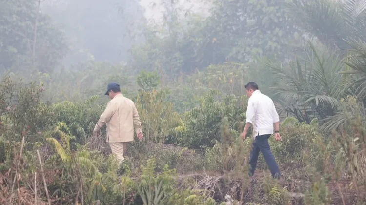 Presiden Prabowo Meninjau Penanganan Karhutla Area Kalimantan