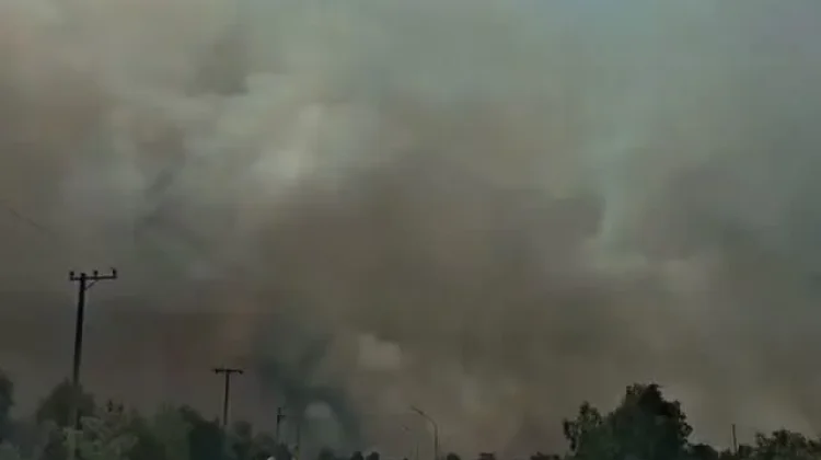 Waspada Kabut Asap Karhutla, Lindungi Diri dari Gangguan Pernapasan