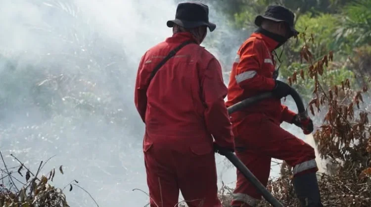 Kabut Asap Karhutla, Partikel Halus dan Gas Beracun Ancam Pernapasan