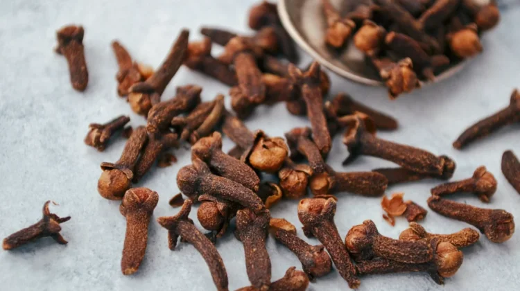 Cengkih, Bunga Rempah Penuh Aroma Khas