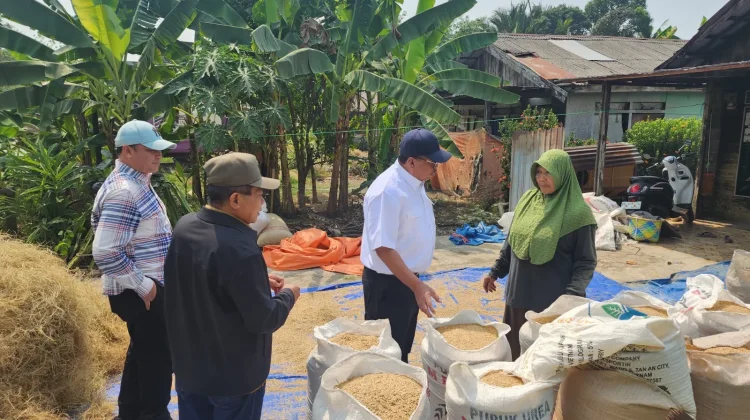 Pemkab Kapuas dan Kementan Tinjau Lokasi MRU hingga Petakan Lahan Potensial