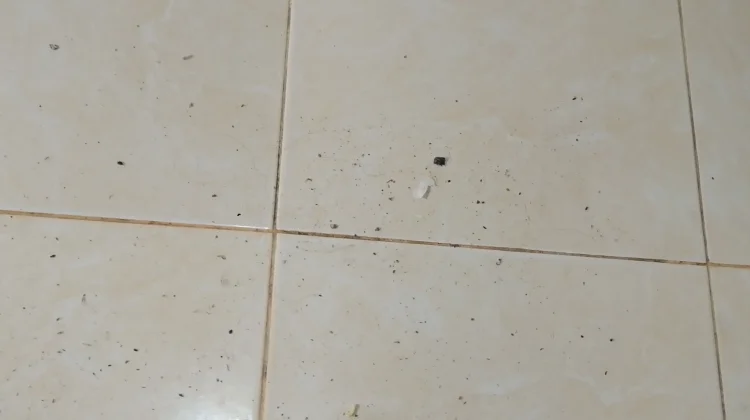 Abu Bekas Kebakaran Hutan dan Lahan Masuk ke Rumah Warga