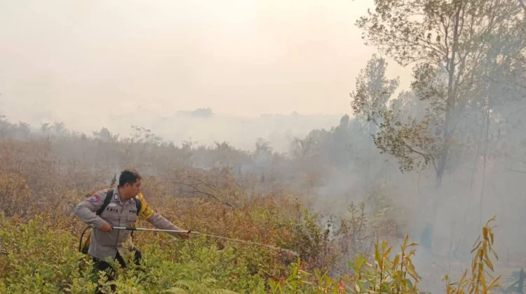 Polsek Rakumpit Bersama Perusahaan Padamkan Kebakaran Lahan Bukit Sua