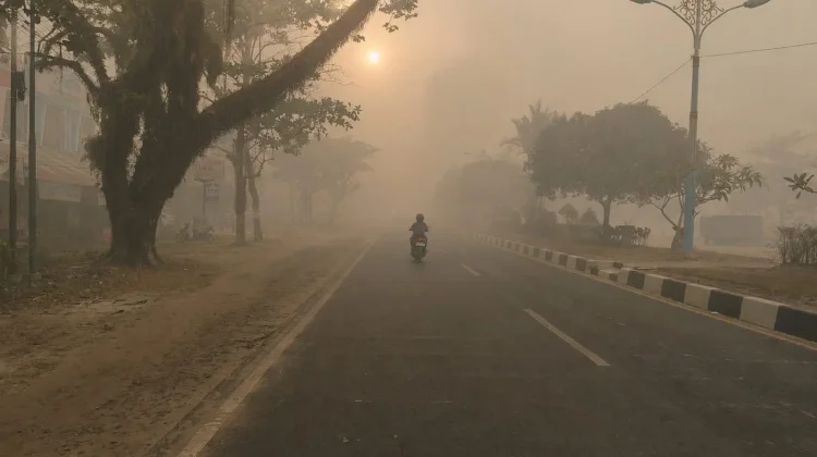 Kabut Asap Palangka Raya Parah, Sejumlah Penerbangan Terkendala Jarak Pandang