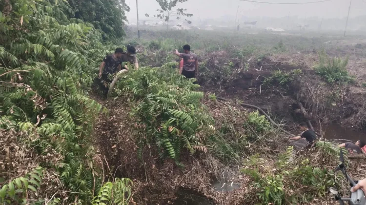 Karhutla Dekat Katolik Center Jadi Perhatian Publik, Tim Lalukan Pemadaman