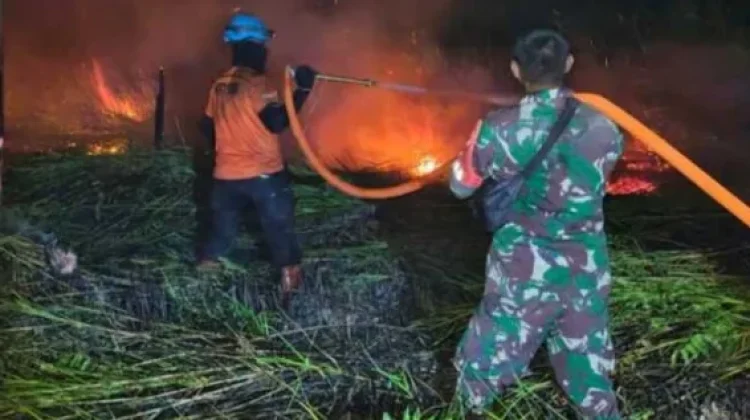 Lima Titik Karhutla di Lamandau Ditangani dalam Sehari oleh Tim Gabungan