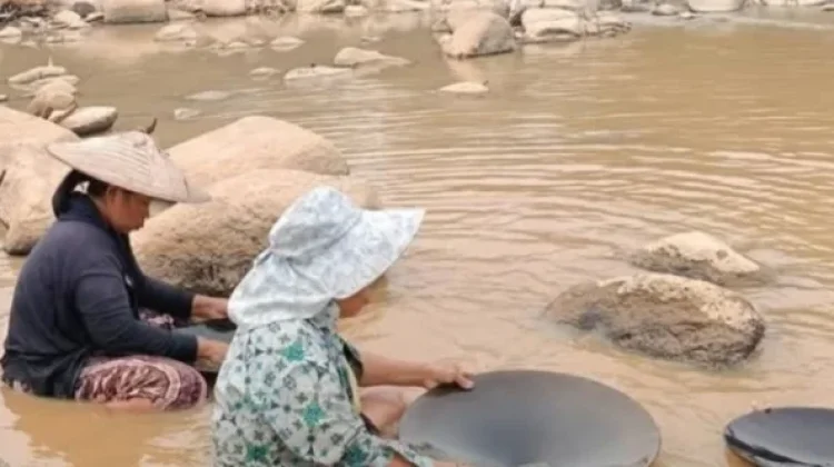 Mandulang Emas Tradisional Masih Bertahan ditengah Perubahan Zaman
