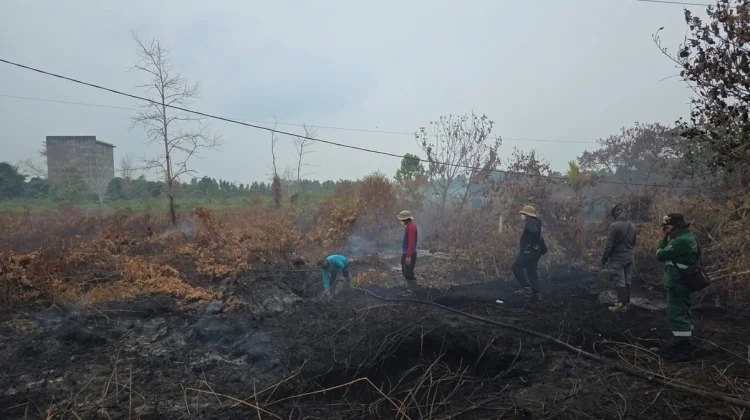 Pemprov Siagakan 10.700 Personel Gabungan Hadapi Karhutla Kalteng