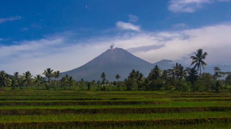 Mengenal Mahameru dan Aktivitas Vulkanik Gunung Semeru