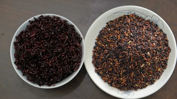 Perbedaan Ketan Hitam dan Beras Merah