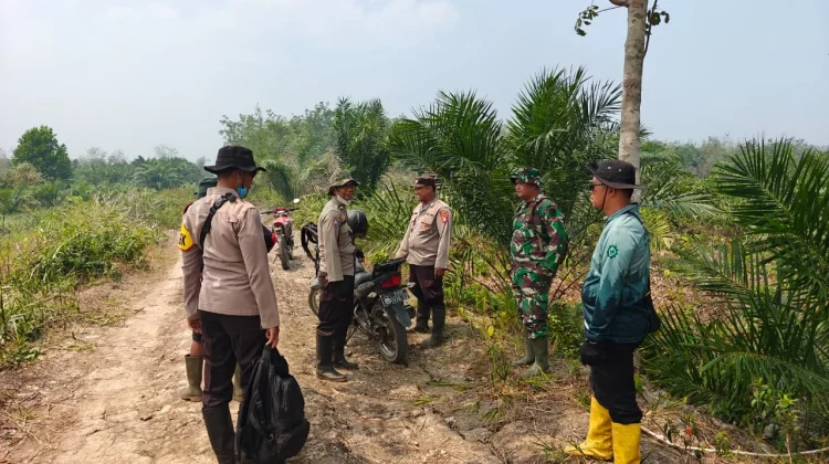 Satgas Karhutla Pulau Hanaut Perkuat Patroli Wilayah