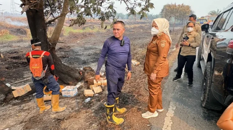 Karhutla Meluas di Kobar, Pemkab Minta Penegak Hukum Tindak Tegas Pembakar
