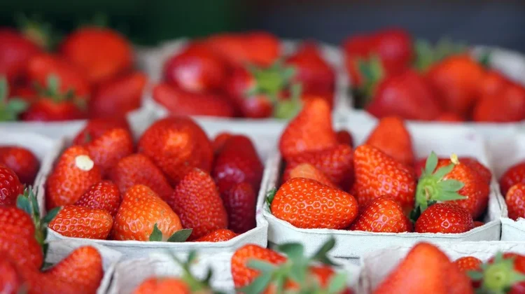 Berikut Jenis Makanan Antiinflamasi Alami yang Efektif Jaga Kesehatan Tubuh