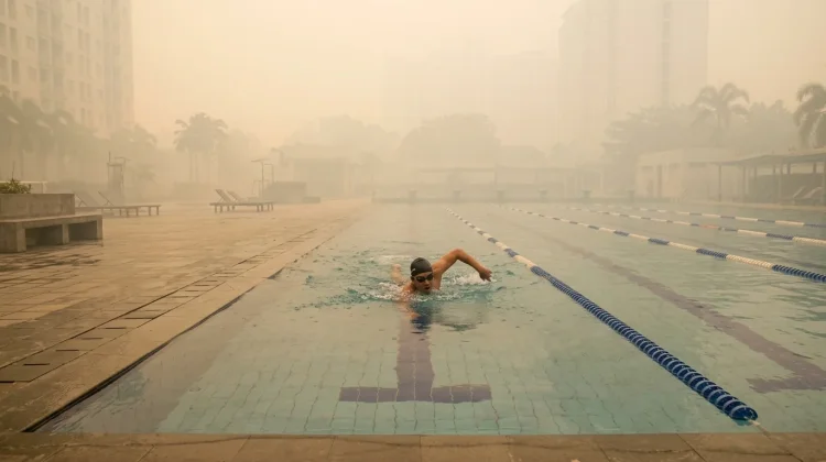 Tips Berenang Saat Kabut Asap