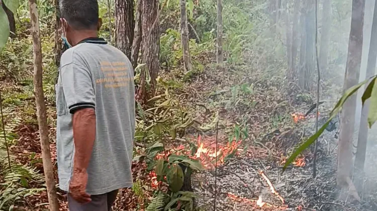 Rumah Dikepung Karhutla, Warga Palangka Raya Sebulan Tak Bekerja