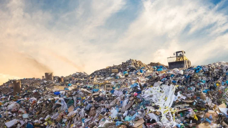 Hari Bersih-Bersih Sedunia 2026, Dorong Aksi Nyata Kurangi Sampah