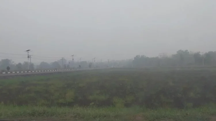 Kabut Asap Karhutla Picu Kekhawatiran Gangguan Kesehatan Warga