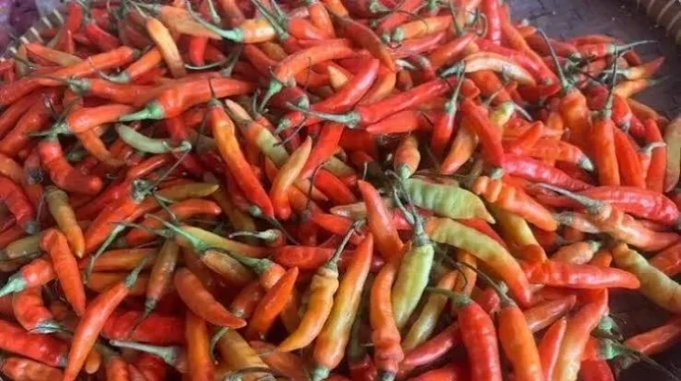 Harga Cabai di Pasar Tradisional Palangka Raya Tembus Rp140 Ribu