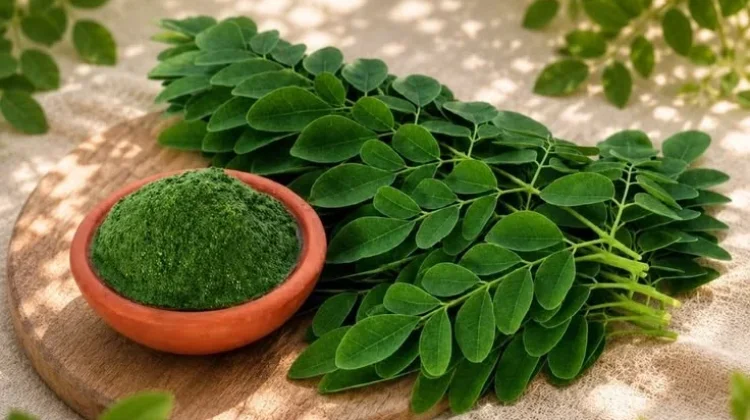 Mengenal Superfood Asal Indonesia, Kaya Nutrisi dan Mudah Ditemukan