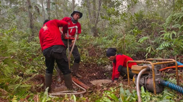Kepala BNPB Pusat Lakukan Peninjauan Langsung Bencana Karhutla