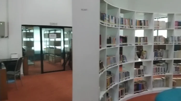 Kabut Asap Kurangi Kunjungan, Perpustakaan Palangka Raya Perkuat Layanan Digital