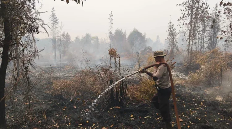 1,5 Hektare Lahan di Kelurahan Petuk Katimpun Terbakar