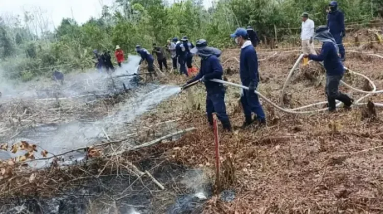 DLH Kalteng Intensifkan Pencegahan Karhutla di Lahan Gambut