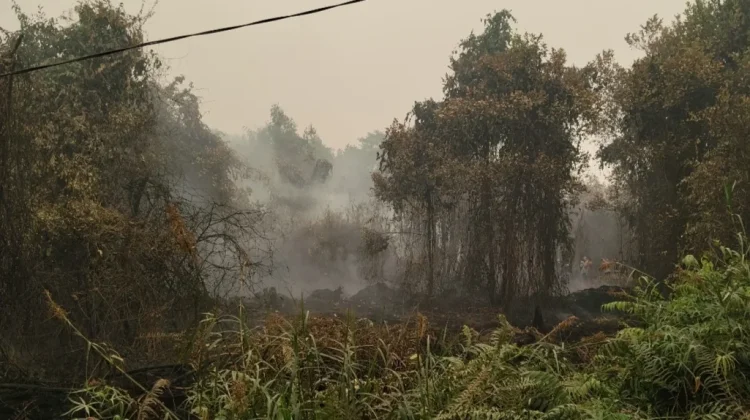 Kualitas Udara Berpotensi Menurun, Masyarakat Diminta Kurangi Aktivitas Luar