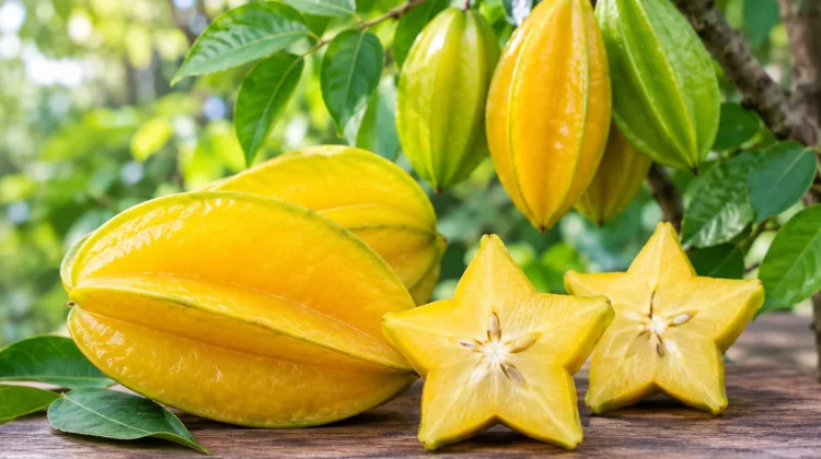 Belimbing, Buah Tropis dengan Bentuk Unik dan Rasa Segar