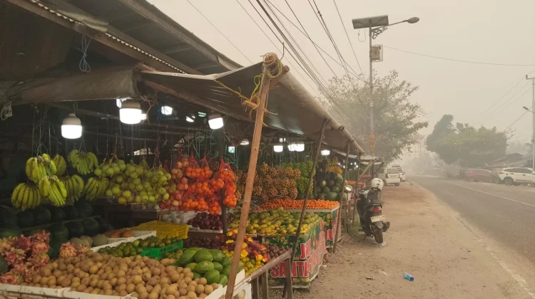 Kemarau dan Kabut Asap Tekan Pasokan Buah Lokal di Palangka Raya