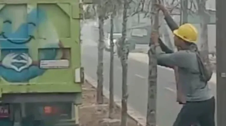Cegah Pohon Tumbang, DLH Kobar Tebang Vegetasi Mati Dampak Kemarau