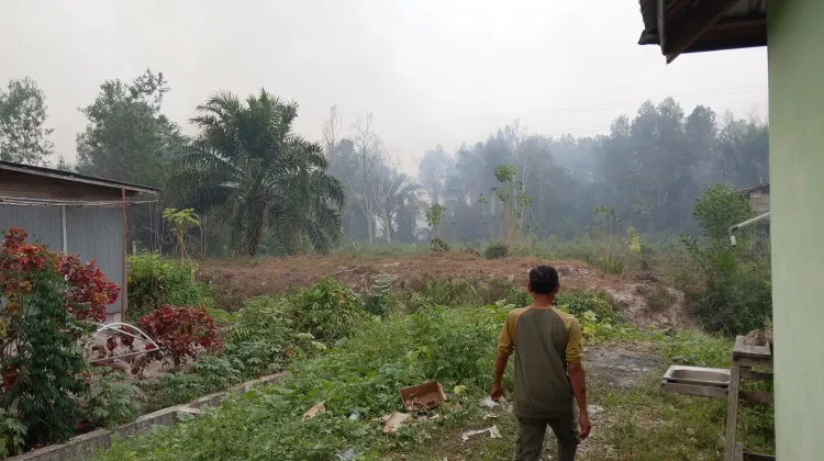 BPBD Palangka Raya Terus Lakukan Pemadaman Karhutla di Lokasi Sulit Dijangkau