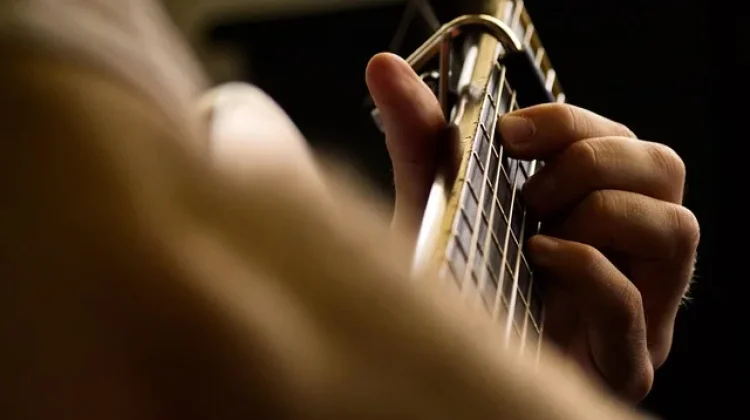 Hari Musik Internasional, Rayakan Keberagaman Budaya Dunia