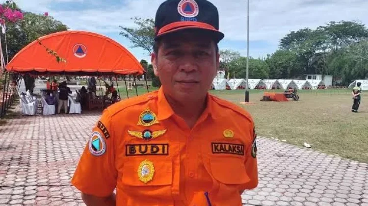 Tim Satgas Karhutla Menangani Pohon Tumbang