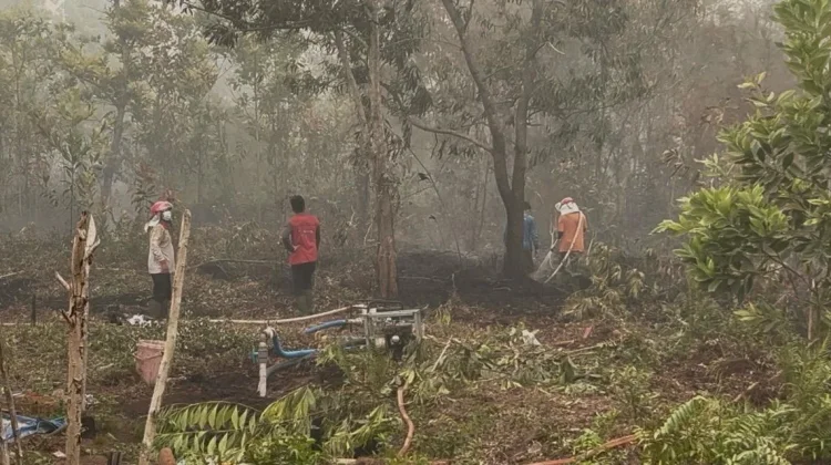 Karhutla Palangka Raya Masih dalam Penanganan BPBD dan Relawan