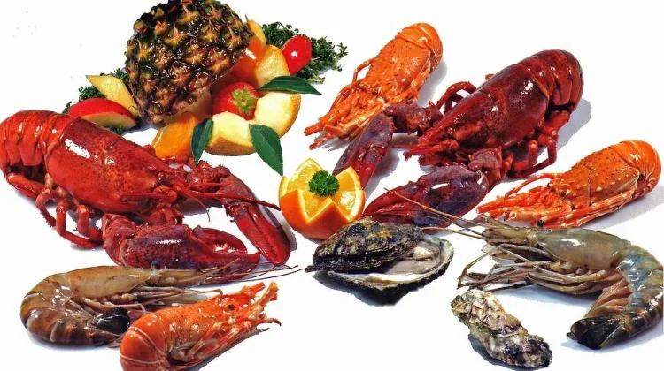 Perlu Mengetahui Tidak Semua Jenis Udang di Alam Aman untuk Dikonsumsi