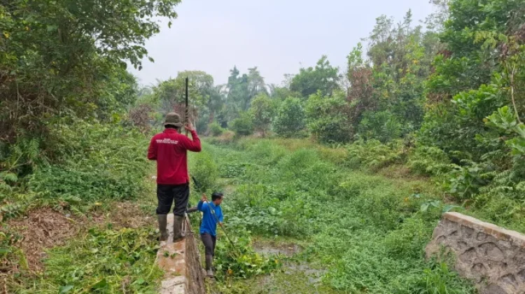Cegah Genangan Musim Hujan, DPUPR Kobar Bersihkan Saluran Induk