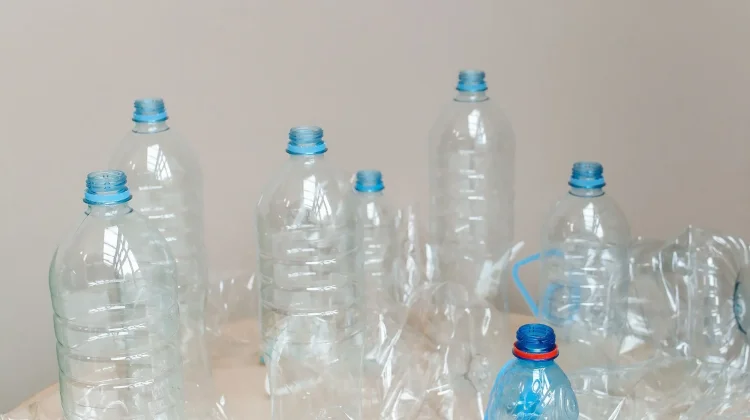 Sisa Botol Plastik Jadi Karya Seni Rumah