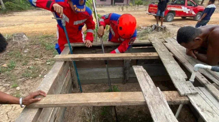 Damkar Kobar Evakuasi Dua Ular Kobra dari Sumur Warga