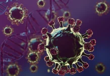 Mewaspadai Penularan Virus Nipah