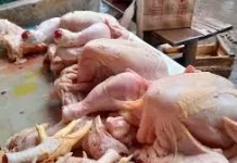 Ketersediaan Daging Ayam di Palangka Raya Pengaruhi Harga