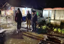 Bupati Kapuas Tinjau Kondisi Jalan di Tamban Baru Timur