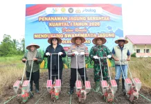 Sinergitas Lintas Instansi, Polres Kapuas Wujudkan Gerakan Tanam Jagung