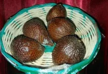 Kandungan Gizi pada Buah Salak