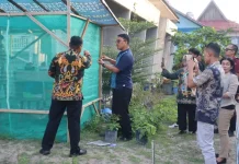 Rutan Palangka Raya Kelola Sampah Organik Melalui Budidaya Maggot