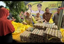 Wabup Barito Selatan: GPM Upaya Jaga Stabilitas Harga Pangan