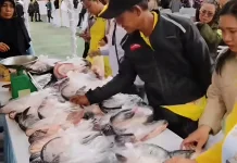 Pemprov Kalteng Subsidi Ikan Segar untuk Masyarakat