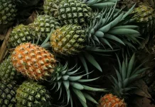 Buah Nenas, Segar dan Kaya Manfaat untuk Kesehatan