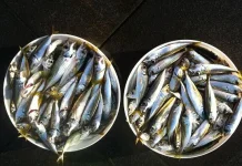 Waspadai Alergi Ikan, Kenali Jenis dan Gejalanya